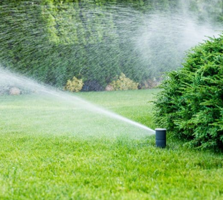 Underground lawn sprinkler installation in Vaughan